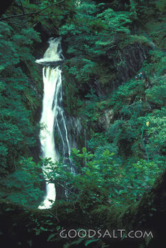 Waterfall in the Forest Gorge