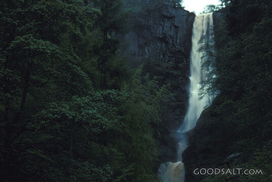 Waterfall in the Hidden Forest