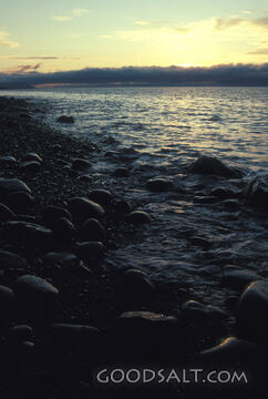 Evening Shore of Creation