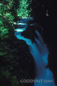 Forest Waterfall of Living Water