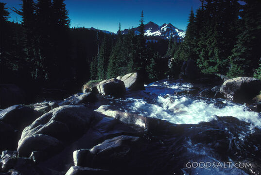 Mountain Stream in God’s Creation