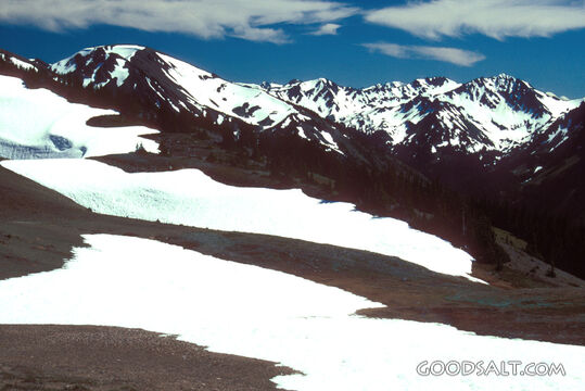 Snow-Crowned Mountains of Creation