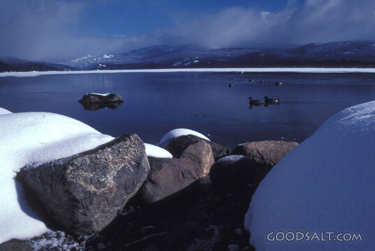 Winter Lake in Quiet Creation