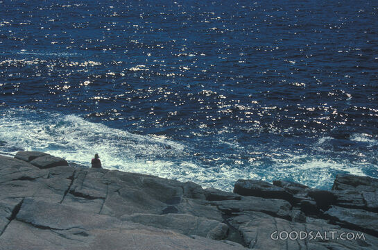 Stillness Beside the Sea