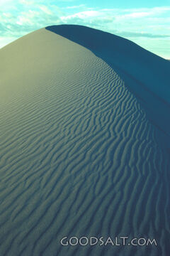 Wilderness Dune