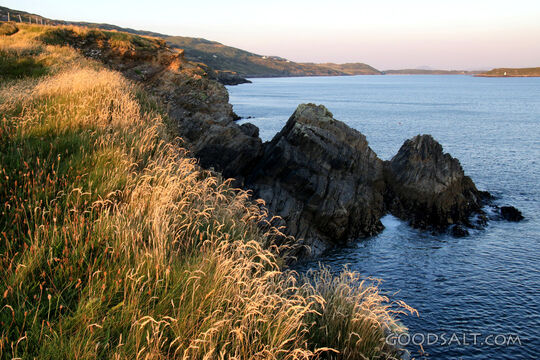 Rocky Coast at Evening Light