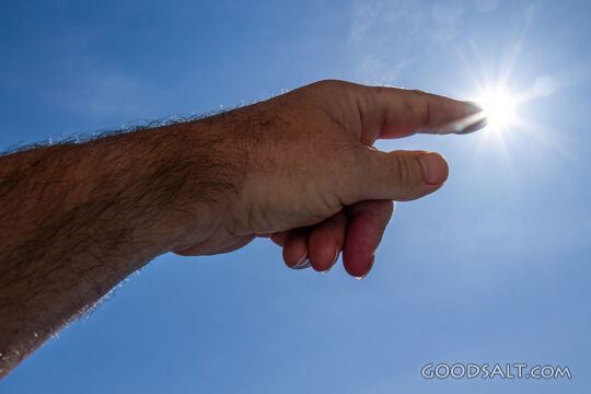 Reaching Toward the Light