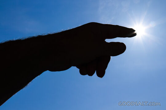 Hand Pointing Toward the Light