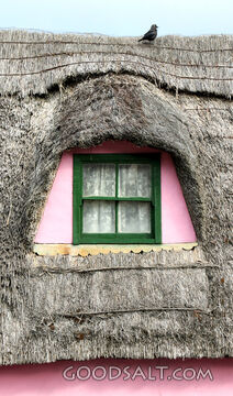 Bird on the Thatched Cottage Roof