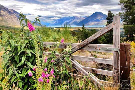 Mountain Meadow Gate