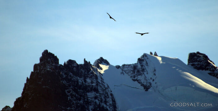 Snowy Peaks Under Soaring Birds