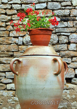 Earthen Jar with Red Flowers