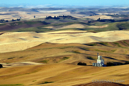 Harvest Fields of Provision