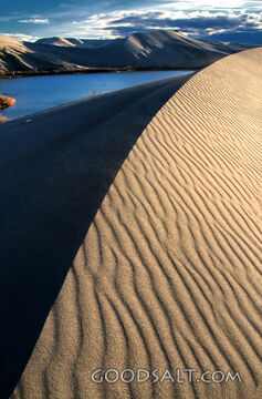 Still Waters Beyond the Dunes