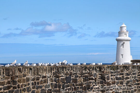 Lighthouse on the Seawall