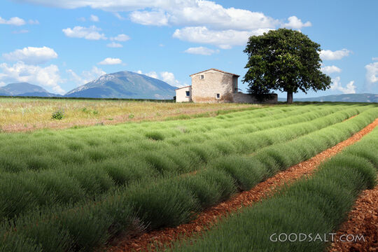 Fields of Provision