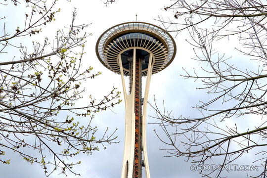 Space Needle in Spring Branches