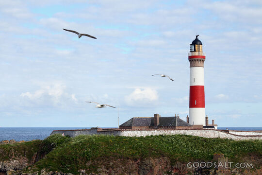 Lighthouse of Steadfast Guidance