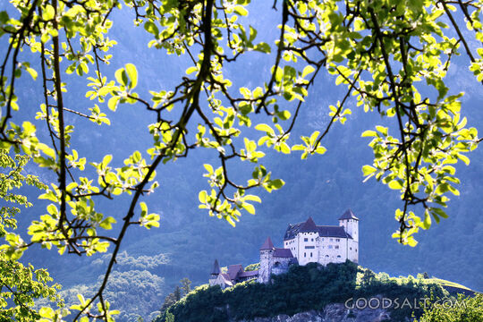 Hilltop Castle Through Spring Branches