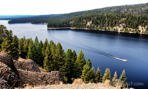 Still Waters Among the Pines