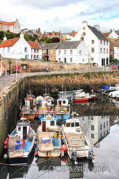 Quiet Harbor Village