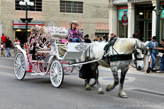 Ornate Horse Drawn Carriage in the City