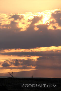 Heavens Declare the Glory