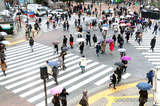 Rain Over the City Crossing