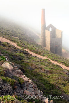 Misty Hillside Ruins