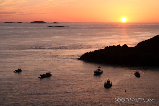 Harbor at Sunset