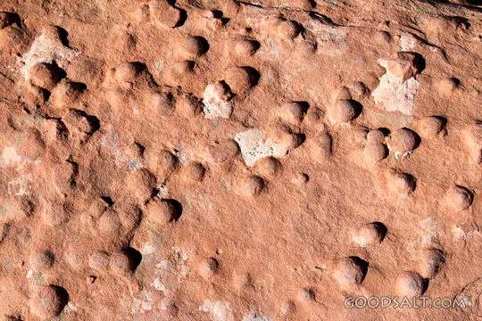 Fossil Trackway in Sandstone