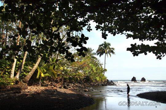 Stillness at the Shore