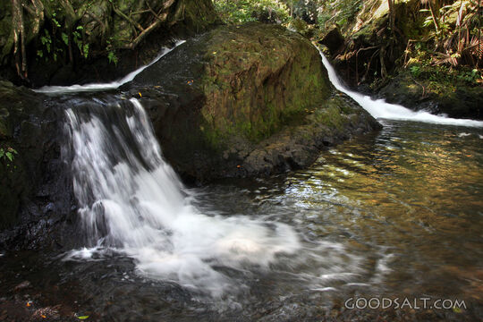 Streams in the Hidden Forest
