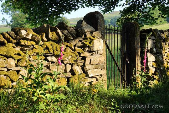 The Narrow Gate in the Stone Wall