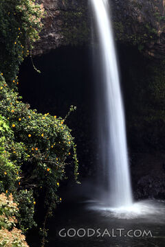 Waterfall of Living Waters