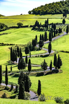 Path Through Green Pastures
