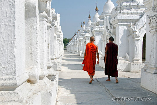 Monks Walking Among White Stupas