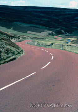 The Winding Road Through the Hills