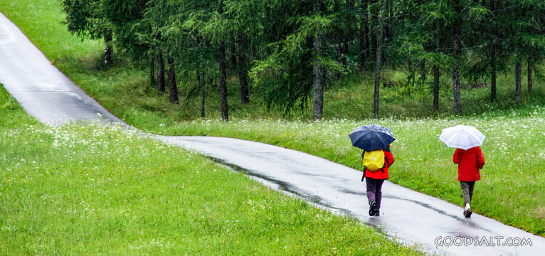 Rainy Walk on the Faithful Road