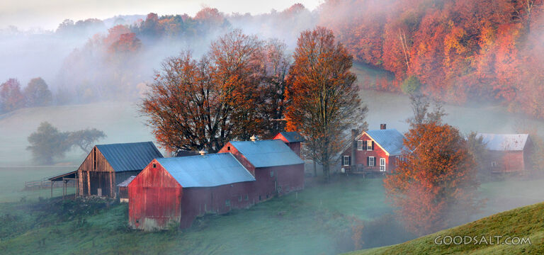 Autumn Farm in Morning Mist