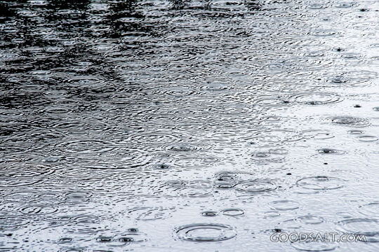 Rain Ripples on Still Water
