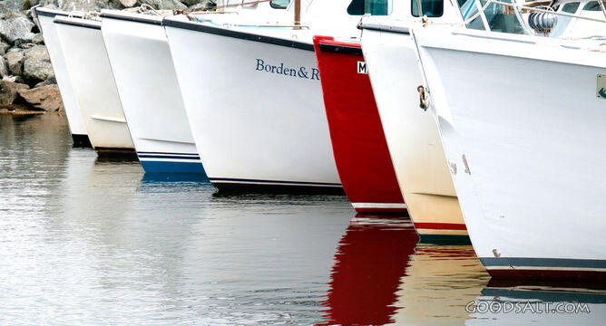 Boats Resting in the Harbor