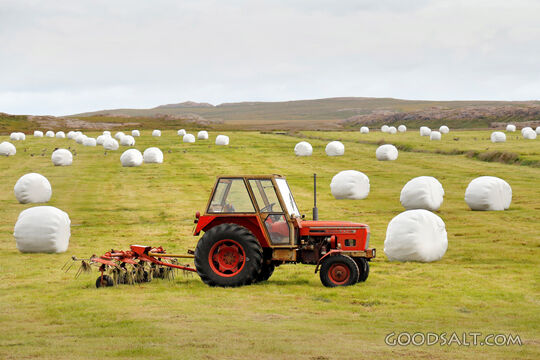 Harvest Field with Tractor and Hay Bales