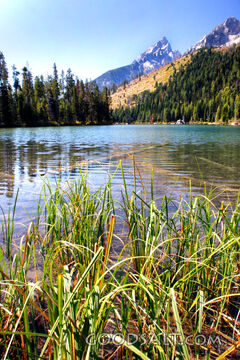 Still Waters Beneath the Mountains