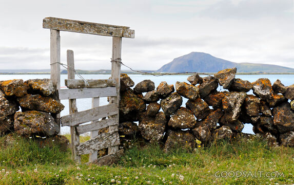Weathered Gate by Still Waters