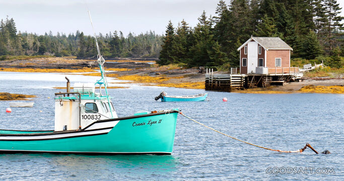 Quiet Coastal Fishing Harbor