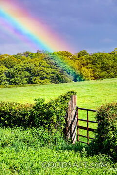 Covenant Rainbow Over the Meadow