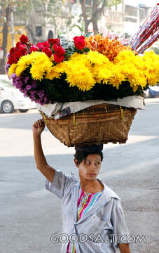 Flower Seller in the Street Market