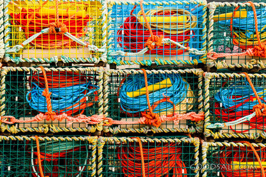 Nets Ready for the Calling