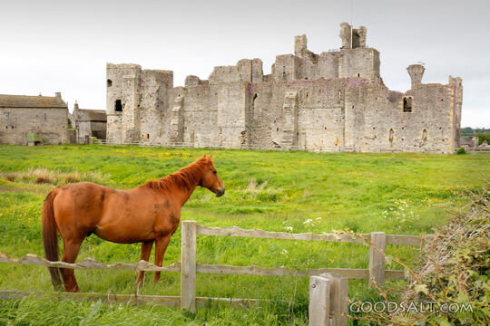 Horse Before the Ancient Stronghold